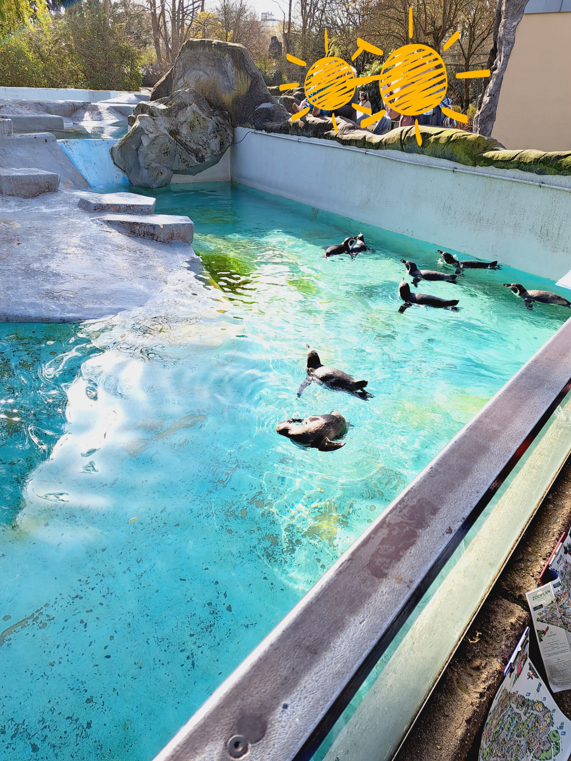 Zoobesuch Mohnwegschule